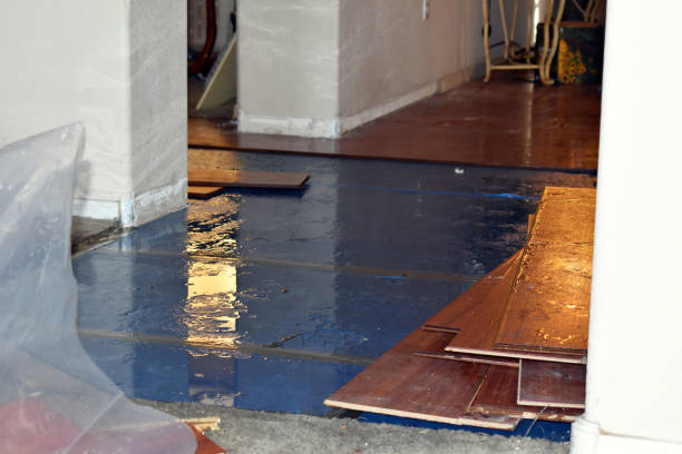 Professional Basement Flood Cleanup technician working in Eau Galle, WI
